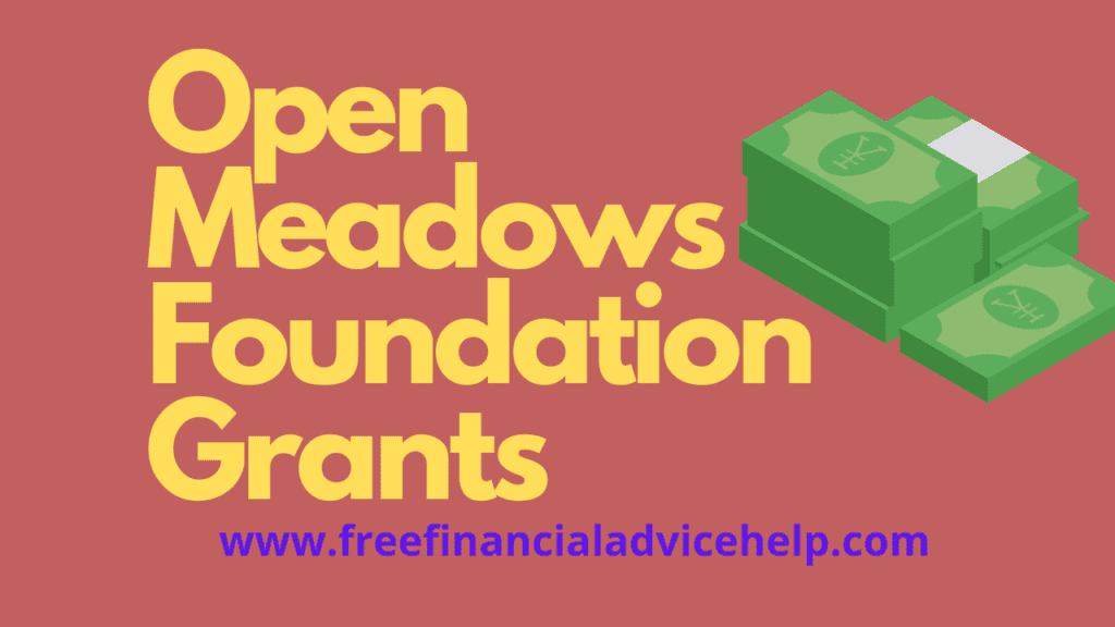 Open Meadows Foundation Grants